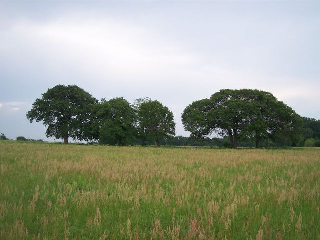 800 County Road 426, Cleburne, TX 76031