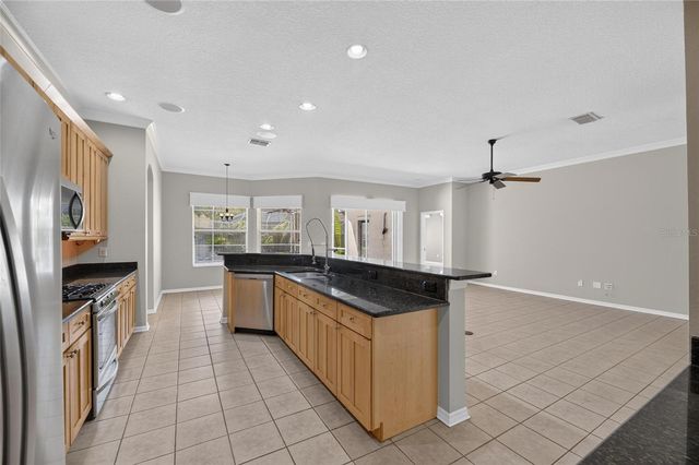 12519 RIVER BIRCH DRIVE, Riverview, FL 33569