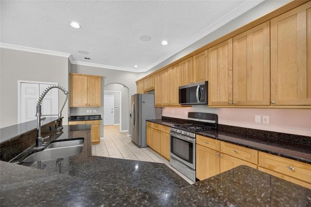 12519 RIVER BIRCH DRIVE, Riverview, FL 33569