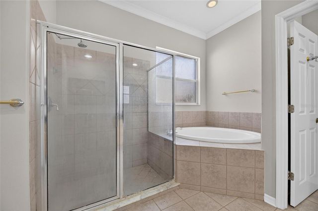 12519 RIVER BIRCH DRIVE, Riverview, FL 33569