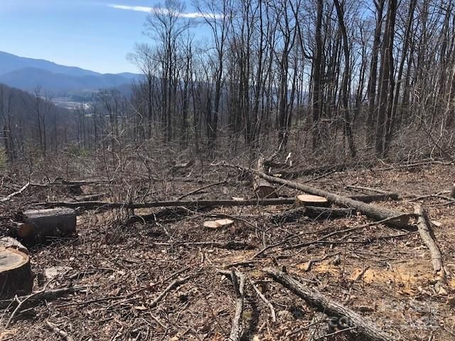 000 Butler Ridge Trail 27, Hendersonville, NC 28792