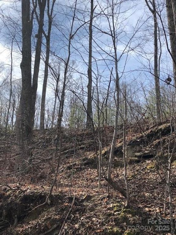 000 Butler Ridge Trail 27, Hendersonville, NC 28792