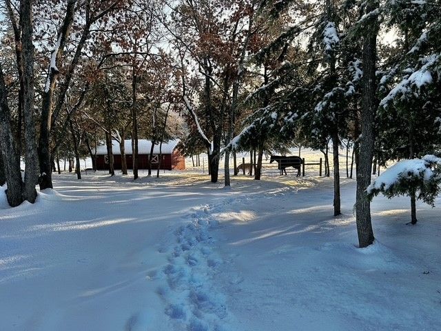 580 Burks, Whitewright, TX 75491