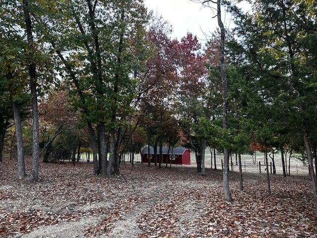 580 Burks, Whitewright, TX 75491