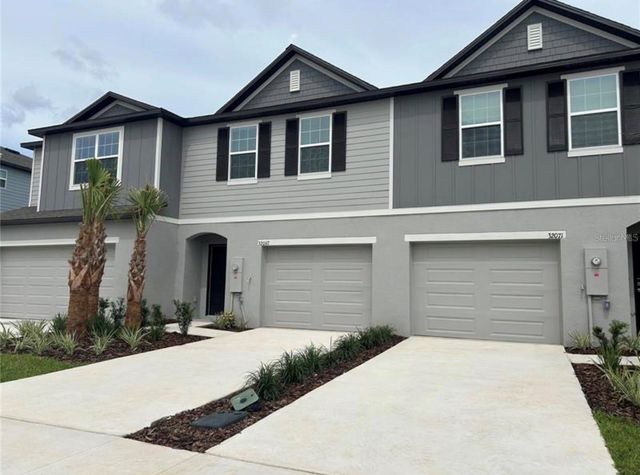 32079 EASTERN REDBUD BRANCH, San Antonio, FL 33576