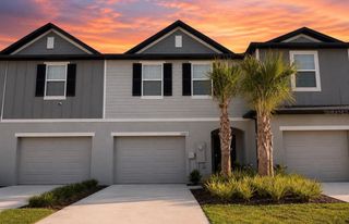 32079 EASTERN REDBUD BRANCH, San Antonio, FL 33576