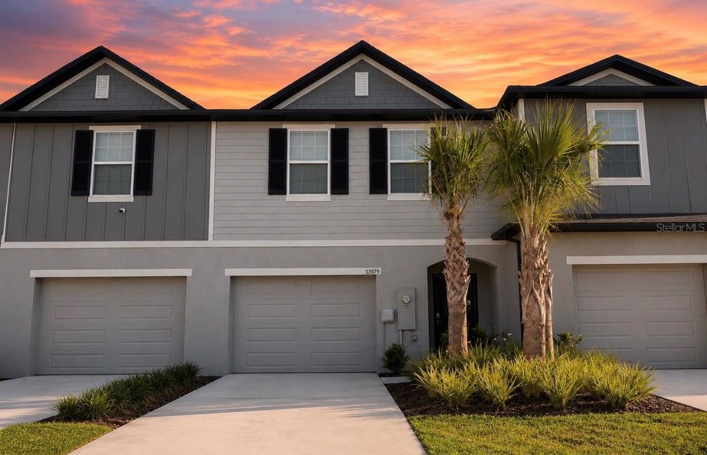 32079 EASTERN REDBUD BRANCH, San Antonio, FL 33576