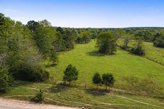 TBD Denson Allen Road, Coldspring, TX 77331