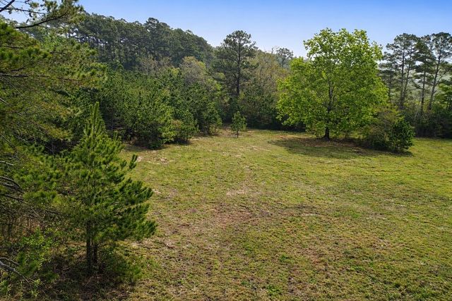 TBD Denson Allen Road, Coldspring, TX 77331