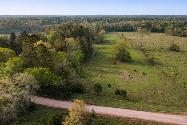 TBD Denson Allen Road, Coldspring, TX 77331