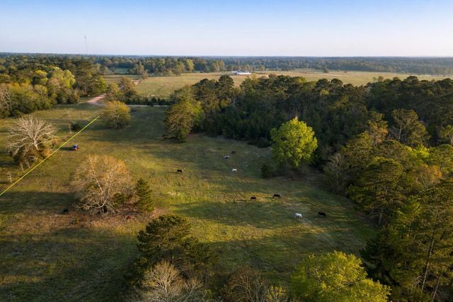 TBD Denson Allen Road, Coldspring, TX 77331