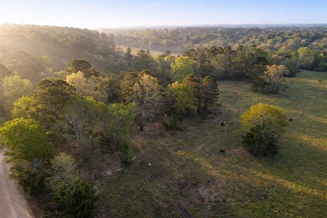 TBD Denson Allen Road, Coldspring, TX 77331