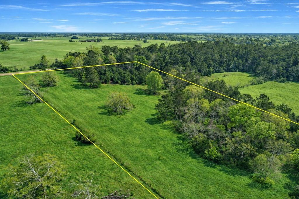 TBD Denson Allen Road, Coldspring, TX 77331