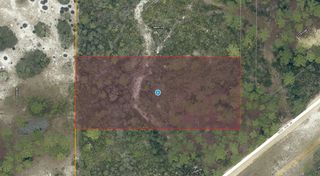 28-17-28-0004-000-03100 BUCK RUN DRIVE, Paisley, FL 32767