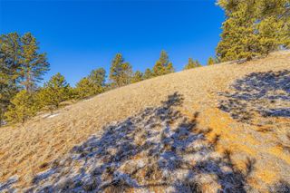 772 E Bison Creek Trail, Florissant, CO 80816