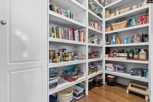 449 Lake Estate Drive, Chapin, SC 29036