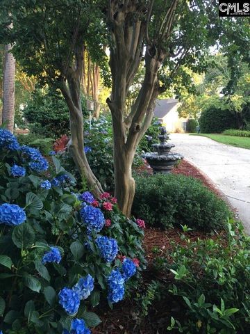 449 Lake Estate Drive, Chapin, SC 29036