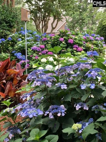 449 Lake Estate Drive, Chapin, SC 29036