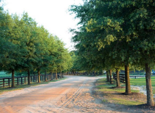 576b Mcintosh Loop, Aiken, SC 29805