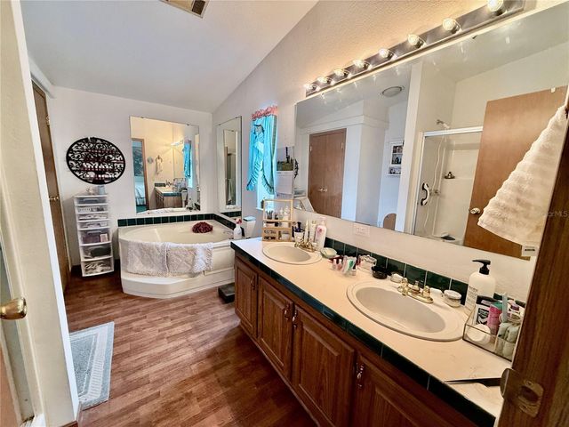 16955 SE 249TH TERRACE, Umatilla, FL 32784