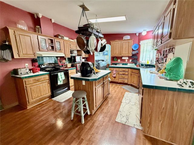 16955 SE 249TH TERRACE, Umatilla, FL 32784