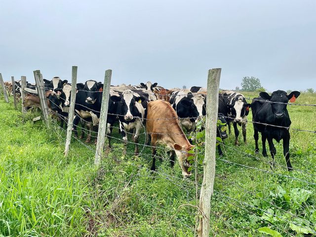 182 Magnolia Hill Road, Bethlehem, CT 06751