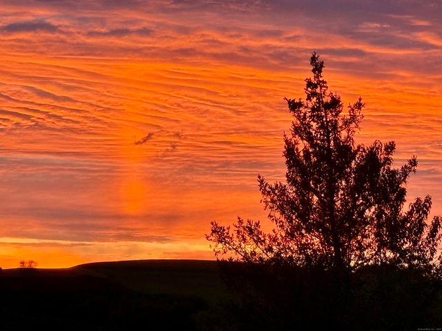 182 Magnolia Hill Road, Bethlehem, CT 06751