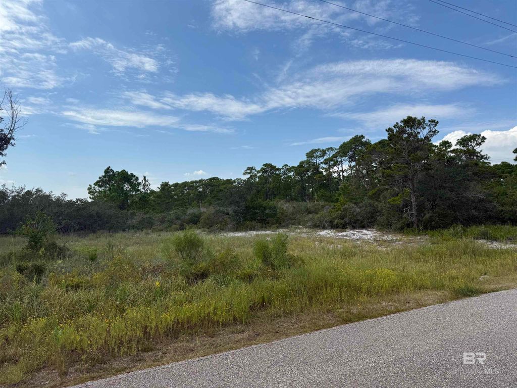 W Fort Morgan Highway, Gulf Shores, AL 36542