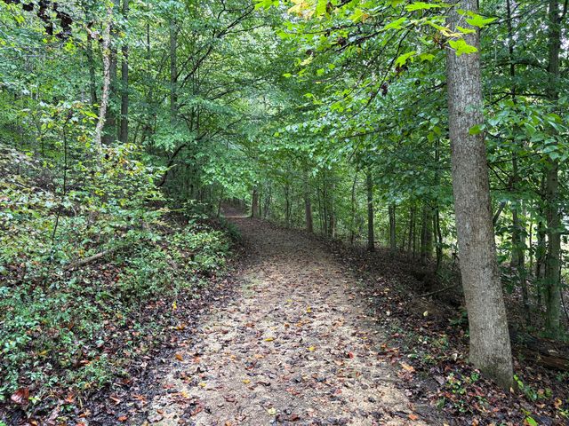 2694 Buck Creek Road, Williamsburg, KY 40769