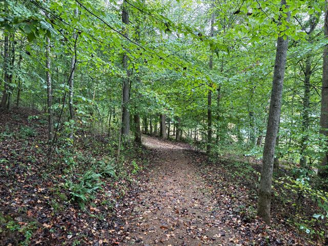 2694 Buck Creek Road, Williamsburg, KY 40769