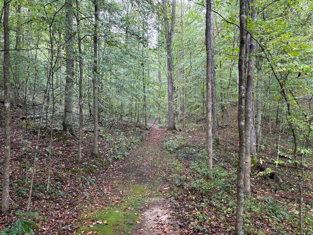 2694 Buck Creek Road, Williamsburg, KY 40769