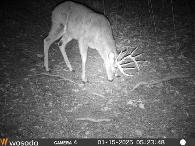 2694 Buck Creek Road, Williamsburg, KY 40769