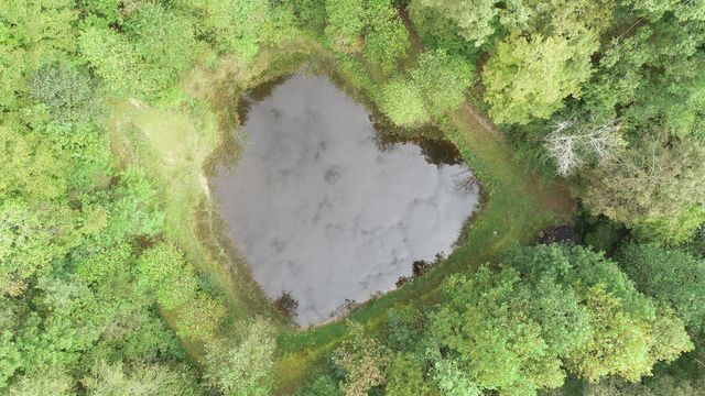 2694 Buck Creek Road, Williamsburg, KY 40769