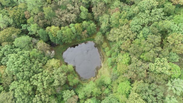 2694 Buck Creek Road, Williamsburg, KY 40769