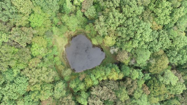 2694 Buck Creek Road, Williamsburg, KY 40769