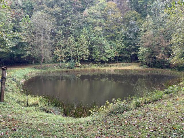 2694 Buck Creek Road, Williamsburg, KY 40769