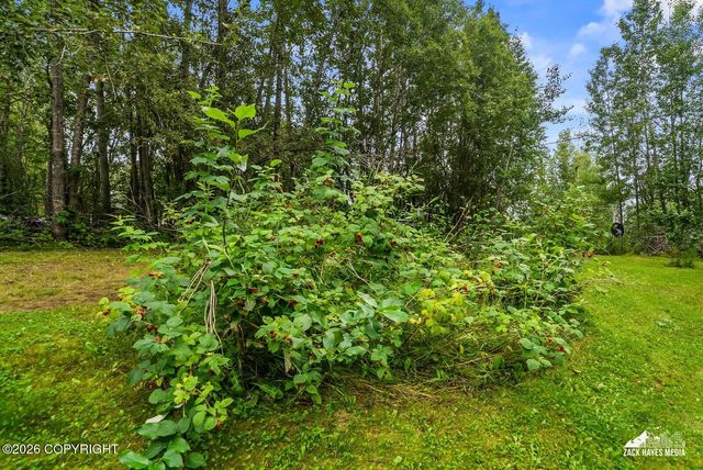 7738 W Carmel Road, Wasilla, AK 99623