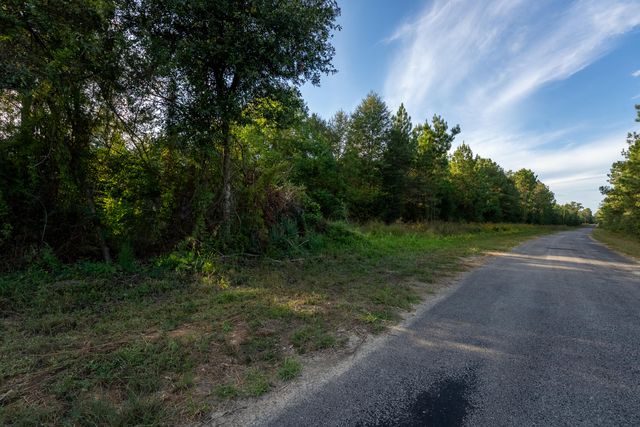 Burns Clark Rd, Singer, LA 70660