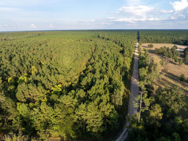 Burns Clark Rd, Singer, LA 70660