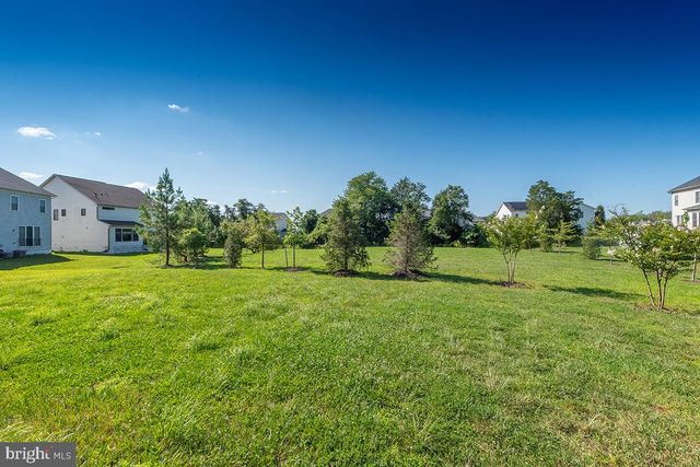 41313 RED BIRCH DR, Aldie, VA 20105
