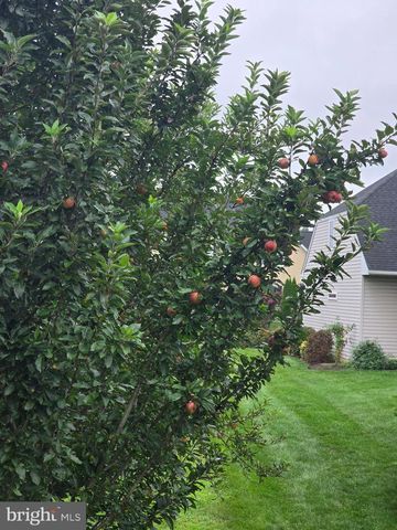 625 WARMINSTER LN, Lititz, PA 17543