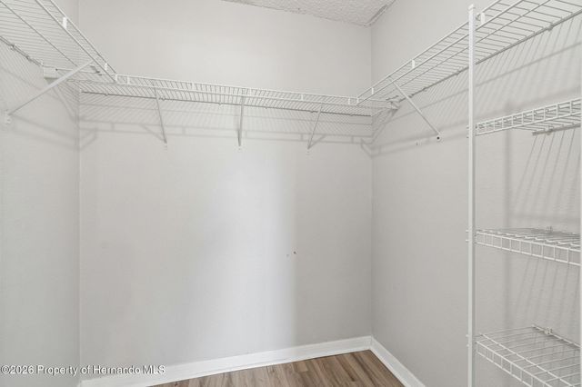 11067 Monarch Street, Spring Hill, FL 34609