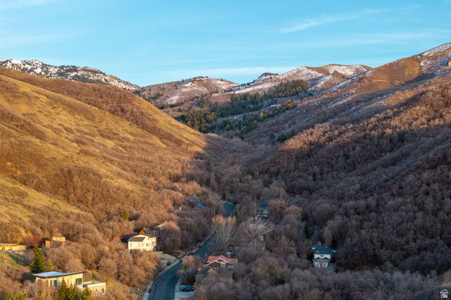 993 E CANYON CREEK, Bountiful, UT 84010