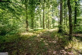 0 Wagers Mill Road 20+/- ACRES, Newnan, GA 30263