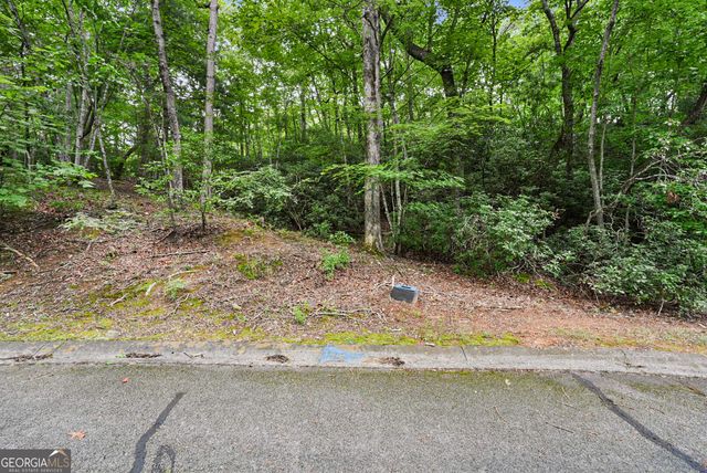 349 Golden Lane, Clarkesville, GA 30523