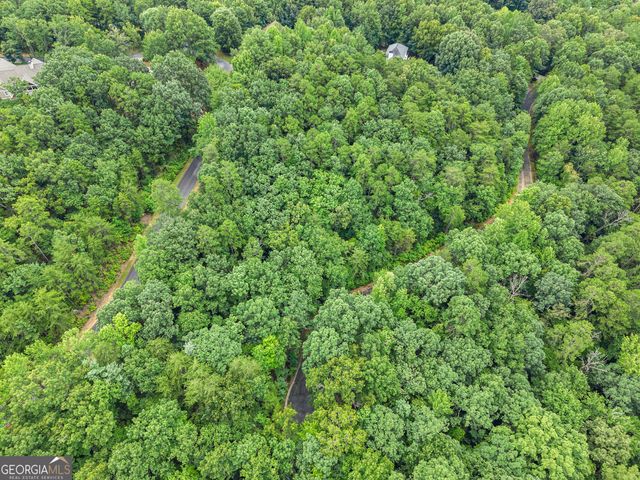 349 Golden Lane, Clarkesville, GA 30523