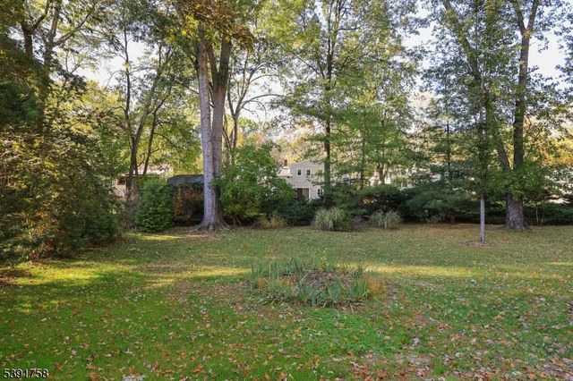 11 Etmore Pl, New Providence Boro, NJ 07974