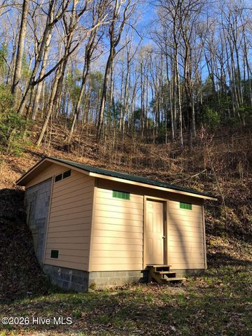 1491 Snowbird Road, Robbinsville, NC 28771