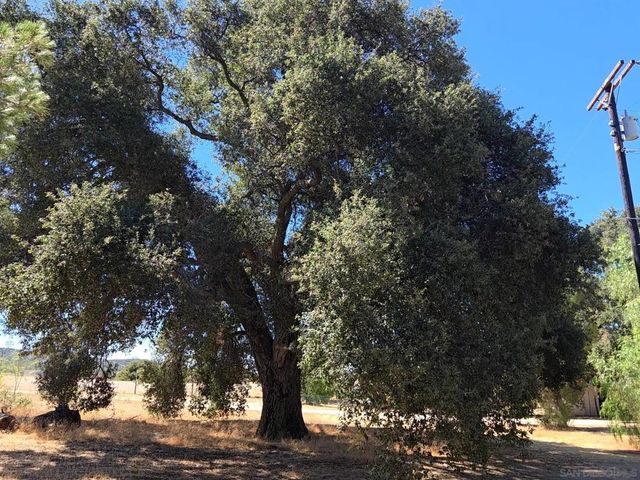 2125 Buckman Springs Road, Campo, CA 91906