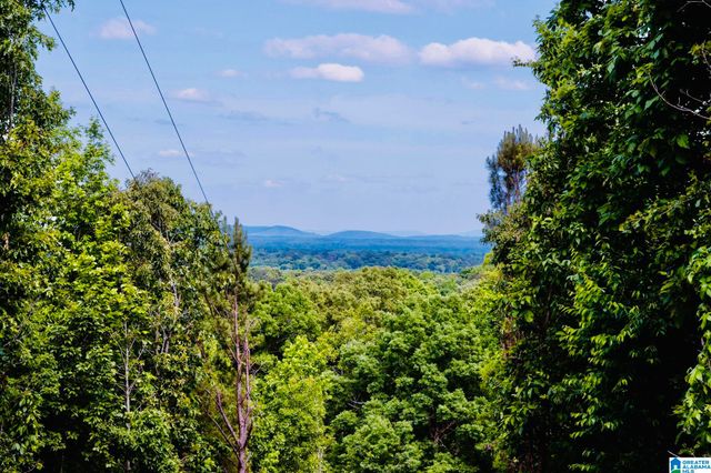 345 COUNTY ROAD 467, Vincent, AL 35178